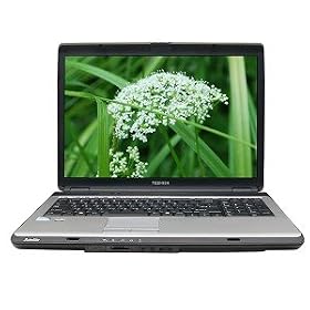 Toshiba Satellite L355-S7905 17-Inch Laptop