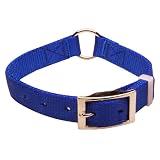 Nite Lite Premium Dog Gear, COLLAR 1 Inch, NYLON, Ring In Center, BLUE, 23 Inch