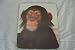 CHIMP CHIMPANZEE MOUSE MAT PAD
