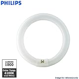 Philips 391169 Circline Fluorescent 22-Watt 8-Inch T9 Cool White Light Bulb