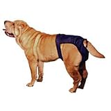 SnuggEase Washable Dog Diaper - VALUE PACK - X-Small