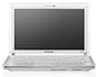 Samsung NC10-anyNet BT 25,9 cm (10,2 Zoll) WSVGA Netbook (Intel Atom N270 1,6GHz, 1GB RAM, 160GB HDD, Intel GMA 950, XP Home) wei�