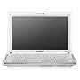 Samsung NC10-anyNet BT 25,9 cm (10,2 Zoll) WSVGA Netbook (Intel Atom N270 1,6GHz, 1GB RAM, 160GB HDD, Intel GMA 950, XP Home) wei�