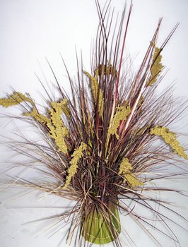 30" Wheat Grass Bundle