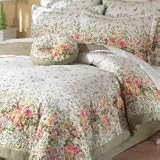 Brand New, Gorgeous Garden Festival 4-Piece Comforter set, queen