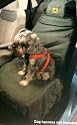 Front Car Seat Protector for dogs folds into pillow