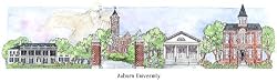 Auburn University - Collegiate Colors - 5" x 13" Framed Prints