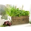 Wooden Kitchen Herb Garden Kit