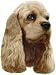 cocker spaniel - Cocker Spaniel Bumper Magnet2008