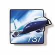 737 Big Picture Pin