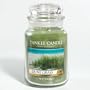 Yankee Candle Dune Grass Large Jar Candle