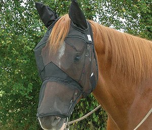 CASHEL QUIET RIDE RIDING FLY MASK DRAFT LONG EARS HORSE [Misc.]