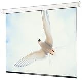 Draper 116305 106-Inch High-Contrast Targa HDTV Motorized Screen (Gray)