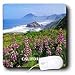 Florene America The Beautiful - California Coastline With Mountains n Flowers - Mouse Pads 41GcBaLIB8L. SL75 From the Redwoods of <b>California</b> to the Deadwoods of Carolina
