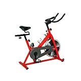 Sunny SF-B1001 Indoor Cycling Bike
