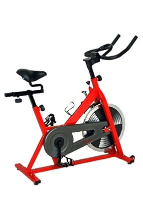 Amazon.com: Sunny SF-B1001 Indoor Cycling Bike: Sports & Outdoors