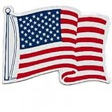 Waving American Flag Car Magnet