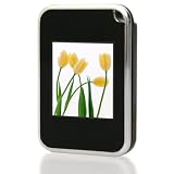 Avesta - Bluekey V2 - Porte-cl&eacute; Num&eacute;rique - Ecran LCD 1,5" - 8 Mo - Noir et Argent