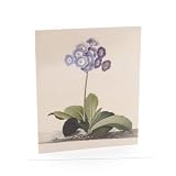 V&A Watercolour Single Greeting Card