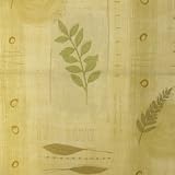 Gilda Replacement Cushions for Cane Conservatory Wicker & Rattan Chair C51 Bamboo Natural plus 11 choices, 6009