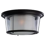 Sea Gull 78321-833 Outdoor Ceiling Light
