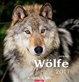Wölfe 2011 / Wolves 2011 / Loups 2011