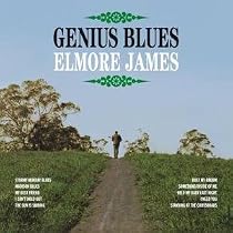 Genius Blues [12 inch Analog]