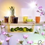 D�tails sur le produit