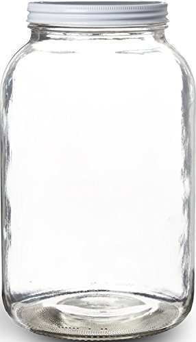 Pakkon wide mouth glass mason jar with metal lid/fermen…
