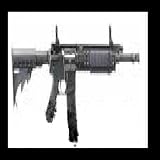 Not Without My Gun
