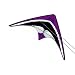 DC Sport 60 Dual Control Nylon Kite: Purple by X-Kites