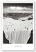Oh Sheet! by Thomas Barbey 30"x20" Art Print Poster