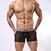 Dominik Men's Sheer Mesh See-Through Boxer Trunks