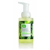 Cleanwell All Natural Anti Bacterial Foaming Hand Soap, Spearmint Lime, 9.5-Ounce Bottle (Pack of 4)