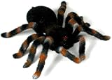 RC Spider Tarantula
