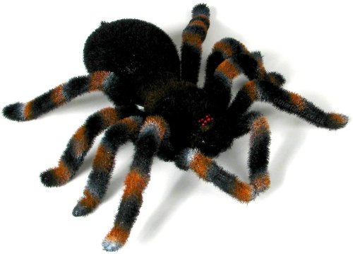 Childrens Toyshop  Toys : RC Spider Tarantula