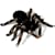 RC Spider Tarantula