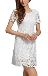 A-line Above the Knee Summer Organza Vintage Pleated Lace Skater Dress/Mini Dress 