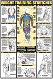 Weight Training Stretches 24 X 36 Laminated Chart