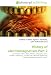 History of electromagnetism Part 2: Luminiferous aether, Wilde, Wireless telegraphy, Gram,  Crookes, Cathode ray, Crookes tube, Electrical engineering,  Electrical telegraph, Induction motor