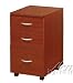 Storage File Cabinet with Casters in Cherry Finish