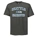 NFL Seattle Seahawks Heart And Soul II Adult Short-Sleeved Basic Tee