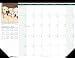 House of Doolittle Earthscapes Puppy Desk Pad Calendar, 12 Months, January 2012 to December 2012, 22 x 17 Inch, Color Photo, Recycled, Multi Color (HOD199)
