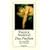 Das Parfum: Die Geschichte eines M�rders