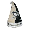 Pittsburgh Penguins Santa Hat