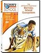 Jeff Corwin Experience: Borneo