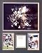MARQUES COLSTON/LARGE COLLECTORS PLAQUE