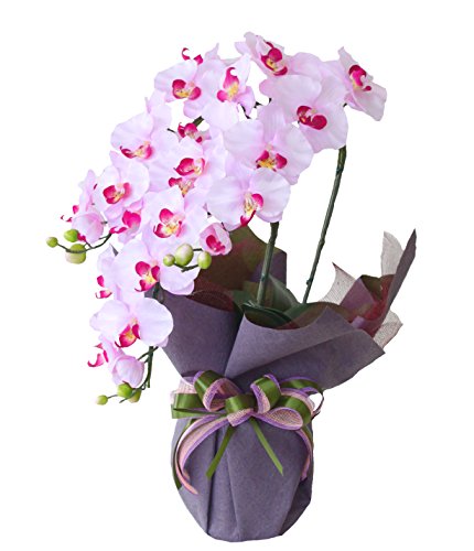 山久 優雅で高貴な胡蝶蘭 鉢植 三本立 ピンク 0704-2039-pk 【CT触媒加工】【造花】【シルクフラワー】