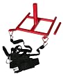 World Sport Power Sled