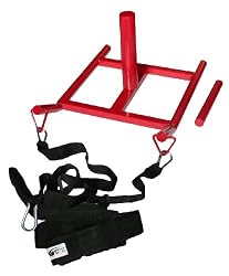 World Sport Power Sled